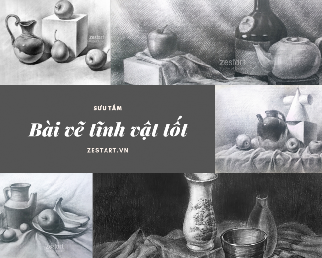 Bài vẽ tĩnh vật