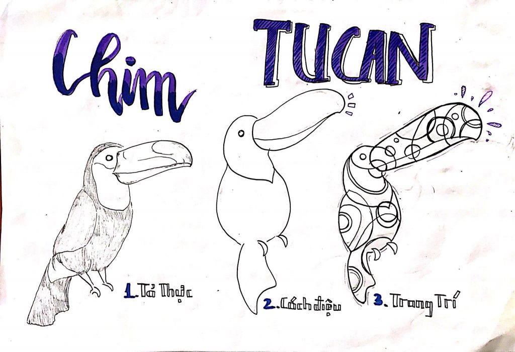Cách điệu chim Tucan trong trang trí màu khối H