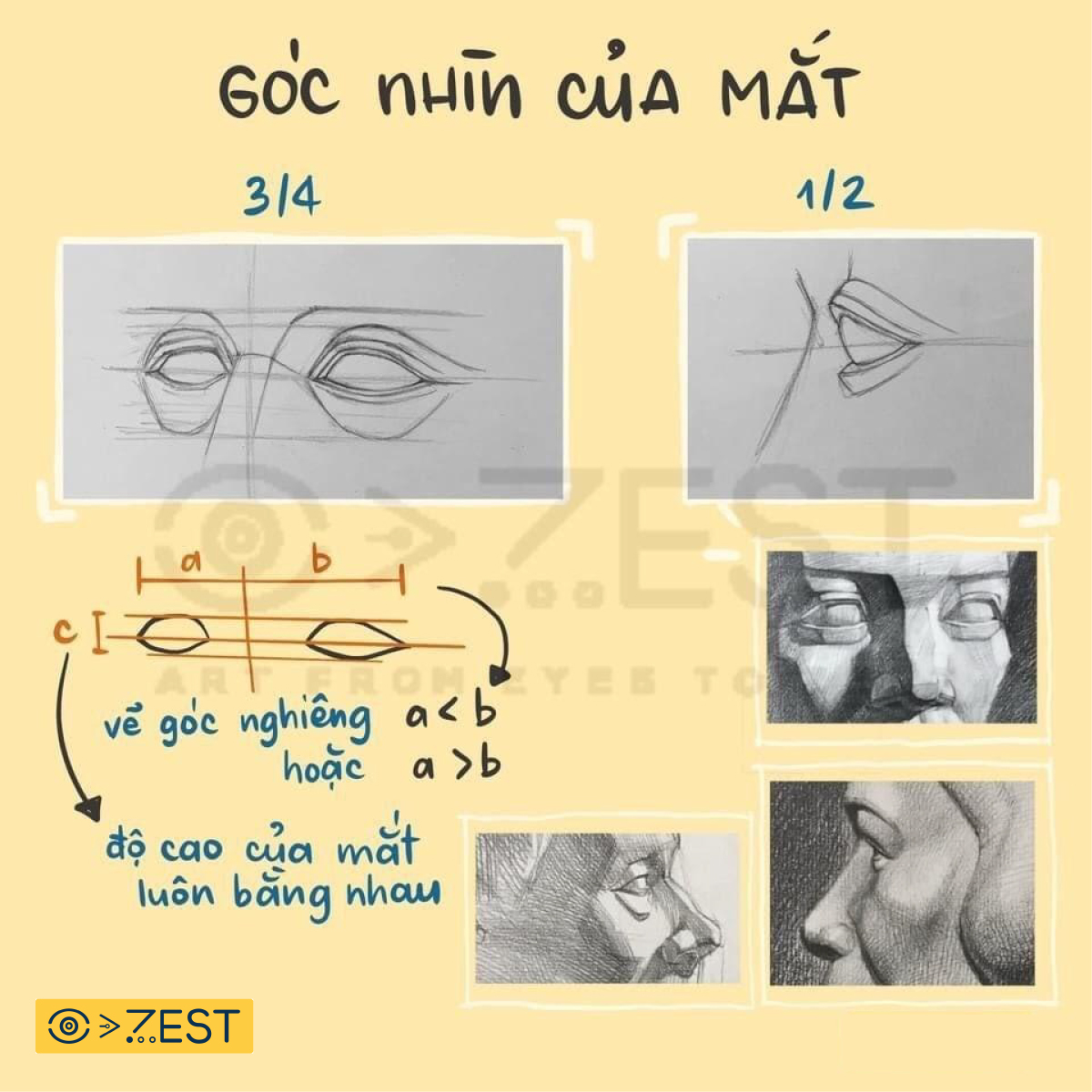 Tips vẽ mắt tượng thạch cao - Zest Art