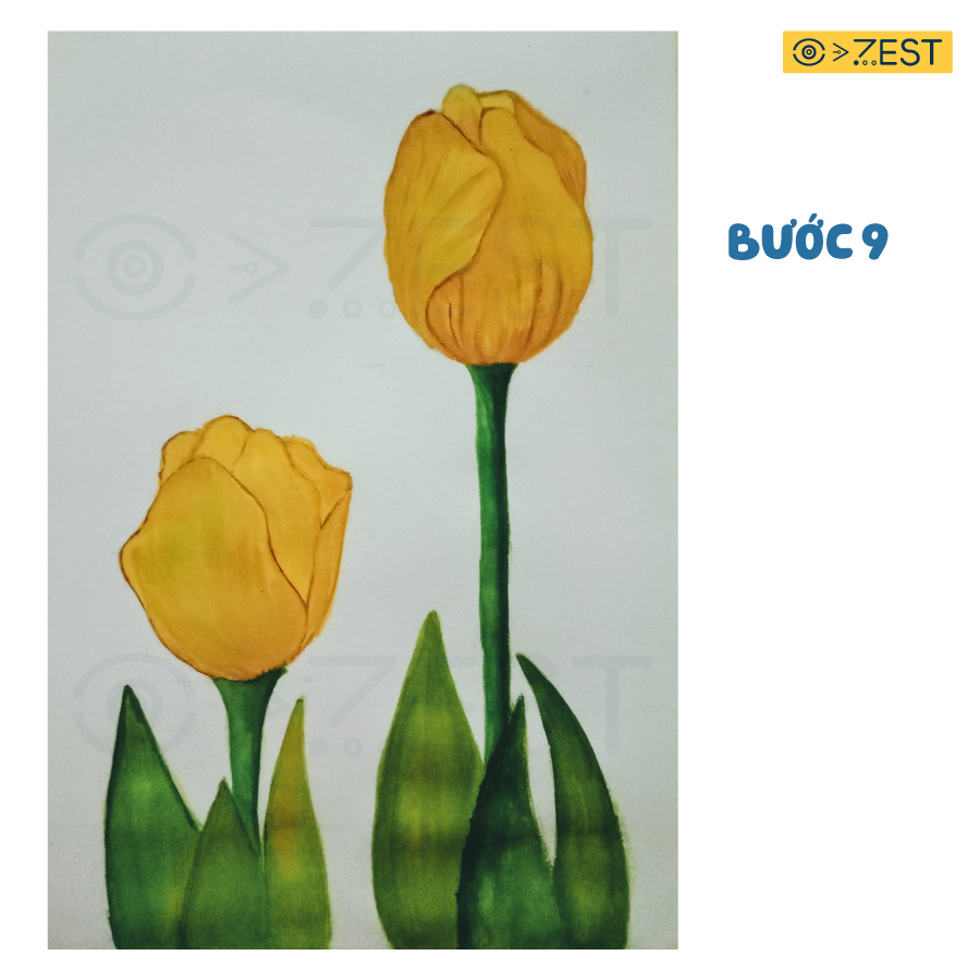 Hướng dẫn bé vẽ hoa Tulip vàng
